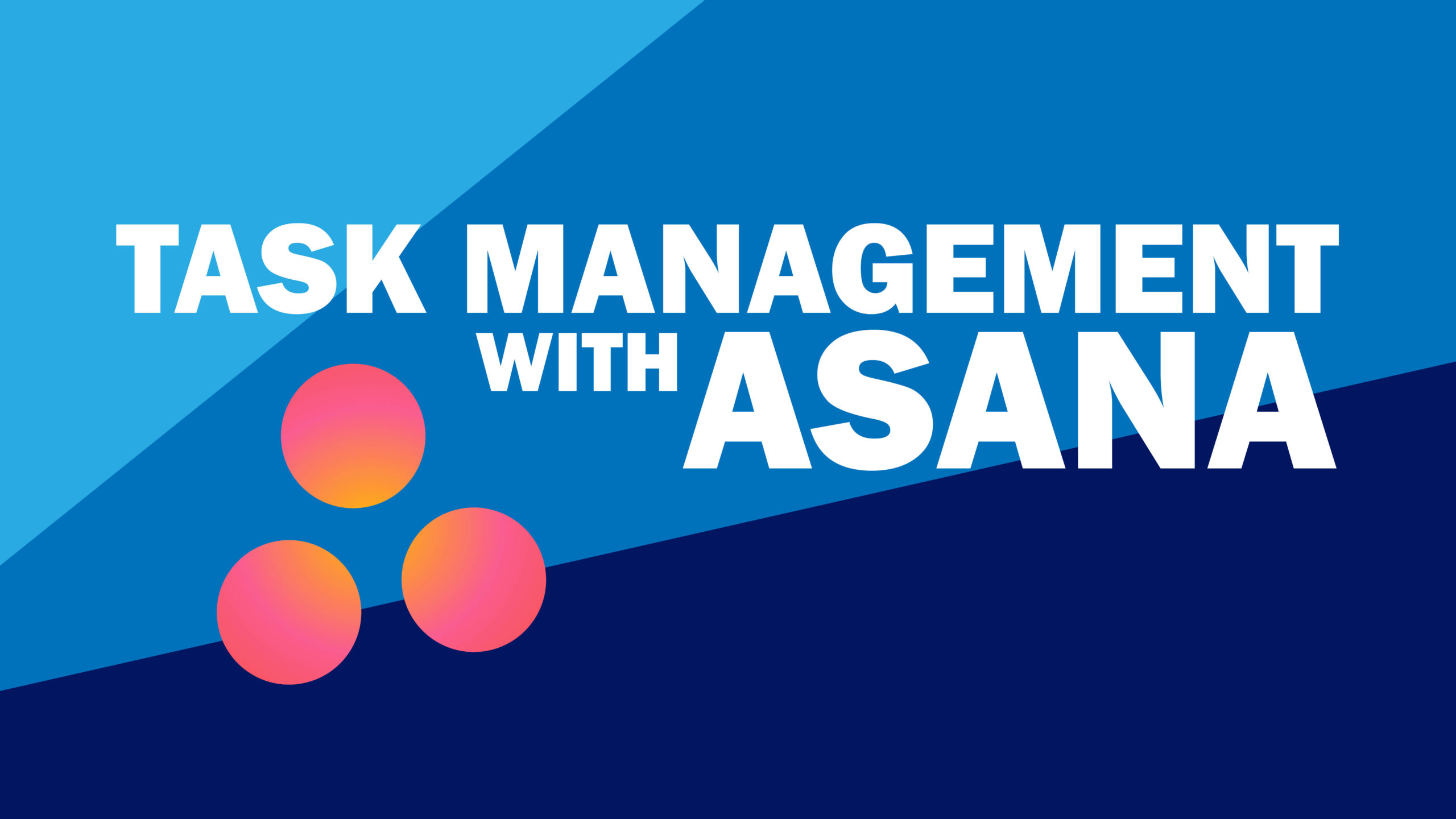 Task Management with Asana