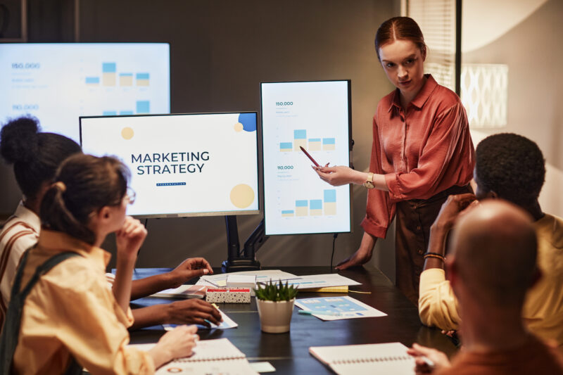 young businesswoman explaining a marketing strategy to her team