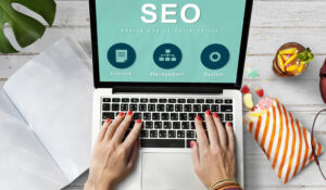 WordPress websites for SEO and blogs